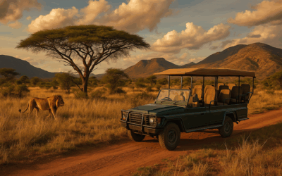South Africa Still Reigns: The Best Safari Experience in Africa