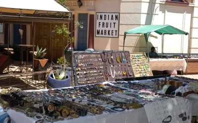 The Little Details Students Fall in Love With in South Africa