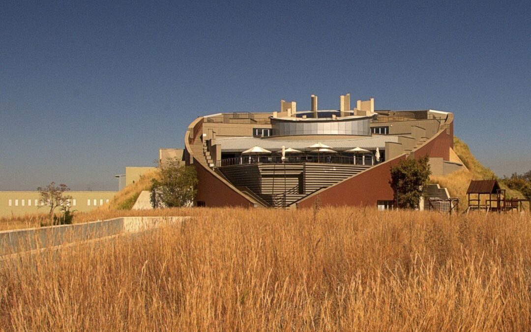 Museum Days That Turn Into Language Lessons