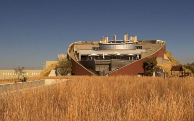 Museum Days That Turn Into Language Lessons