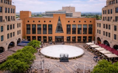 How Libraries Help English Language Students Improve Their English